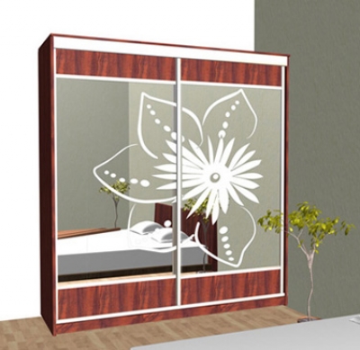 Шкаф-купе зеркальный с рисунком